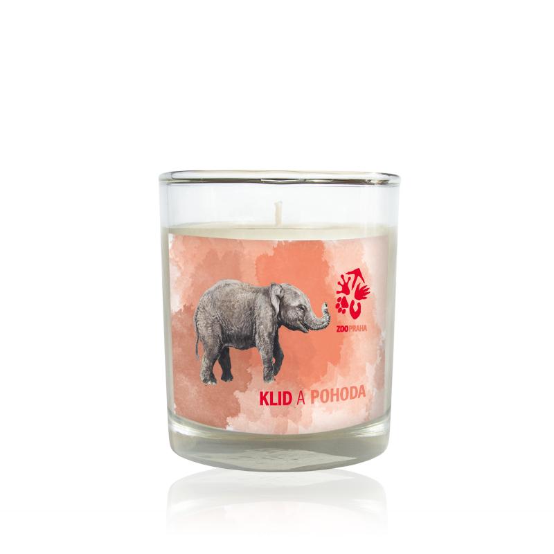 Ryor - ZOO svíčka Slon - Santalové dřevo (Svíčky)